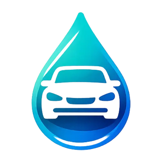 Lavage auto à domicile Dolus-le-Sec